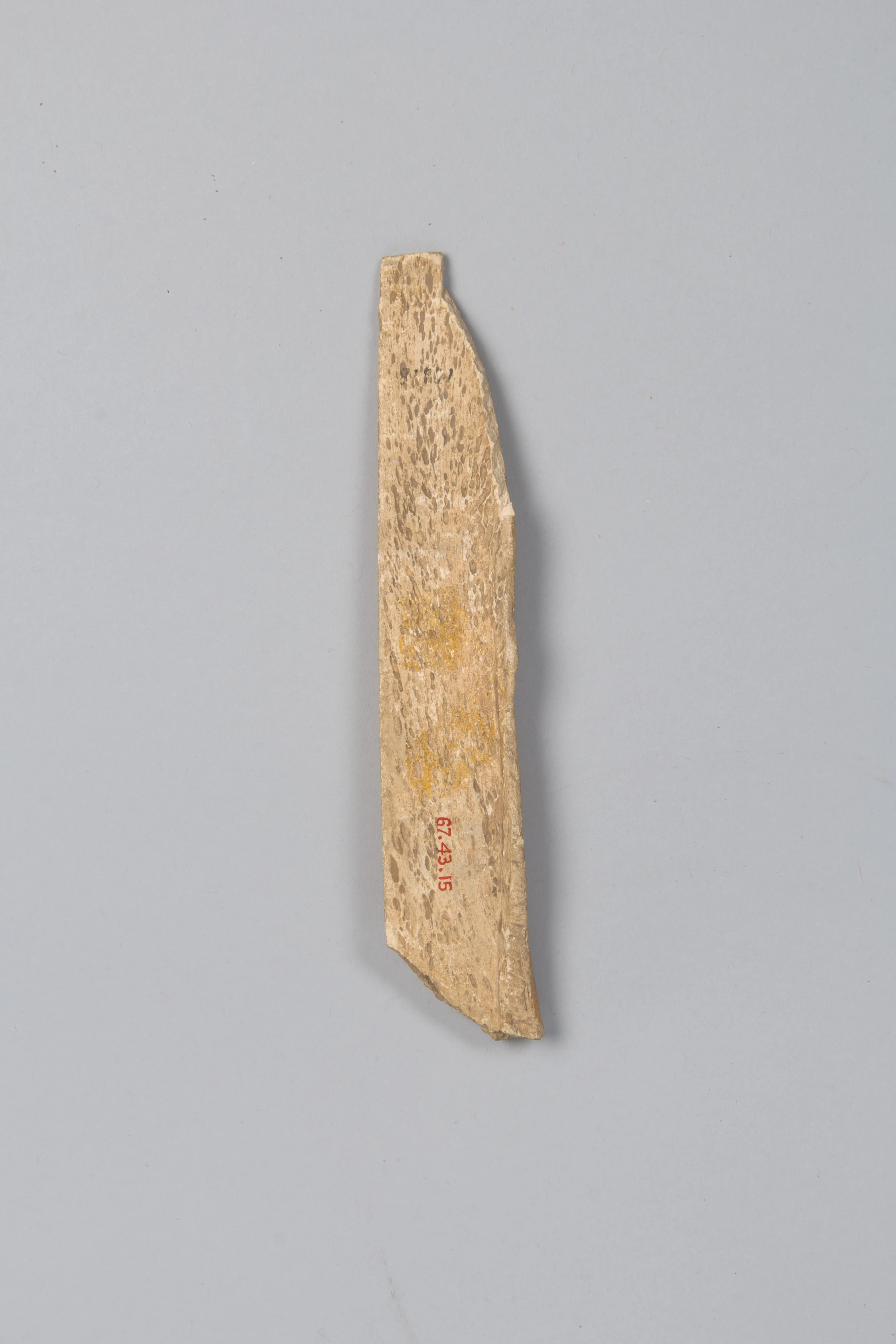 Oracle bone (1).jpeg