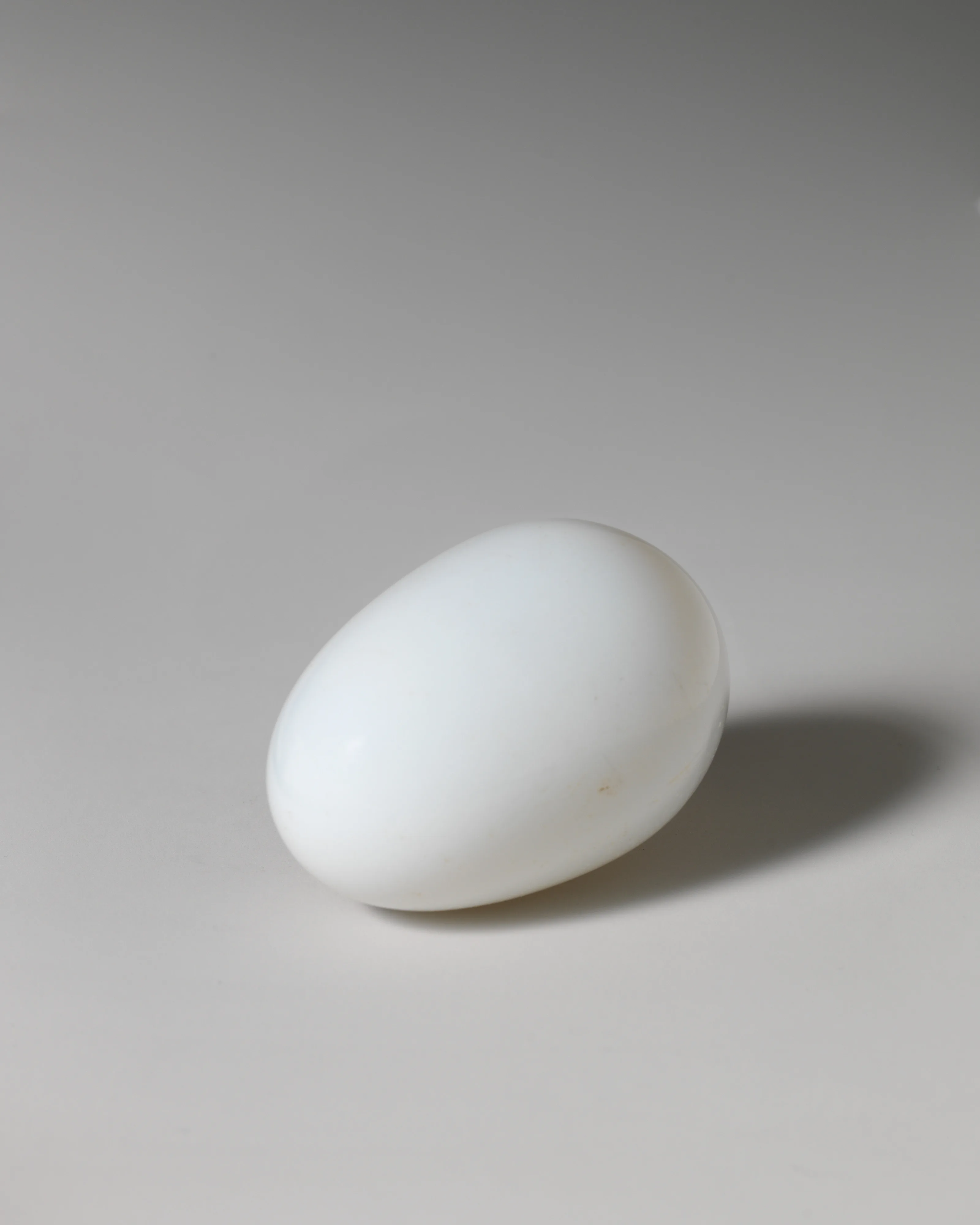 Egg.jpeg